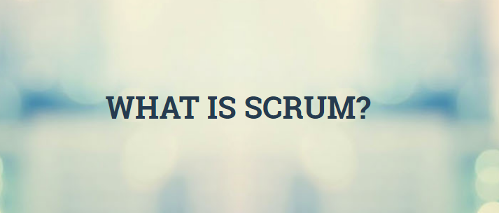 SCRUM  - Improving the Profession of Software Delivery