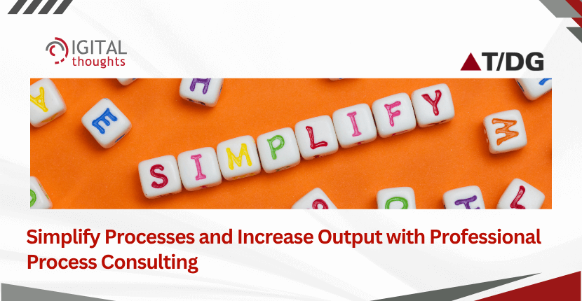 Streamline Productivity with Expert Process Consulting and IT Integration 