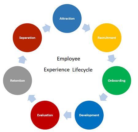 Employee Experience Life Cycle