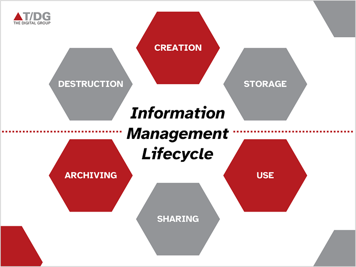 Information Management Lifecycle