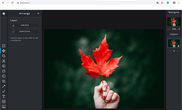 An Introduction to Pixlr Photo Editor